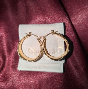 Elegant Gold Hoop Earrings